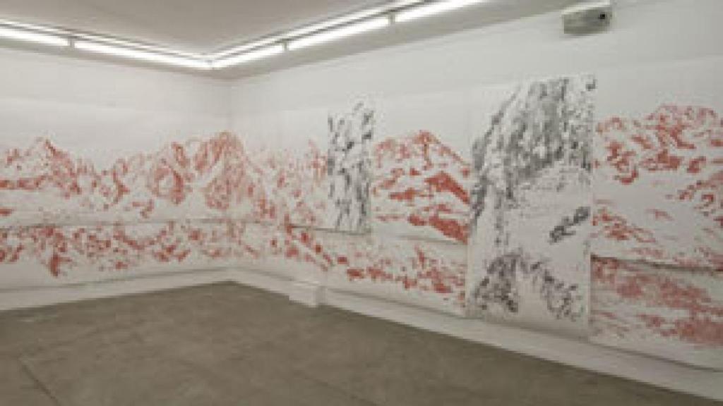 Image: Cristina Ataíde, despliegue de pliegues