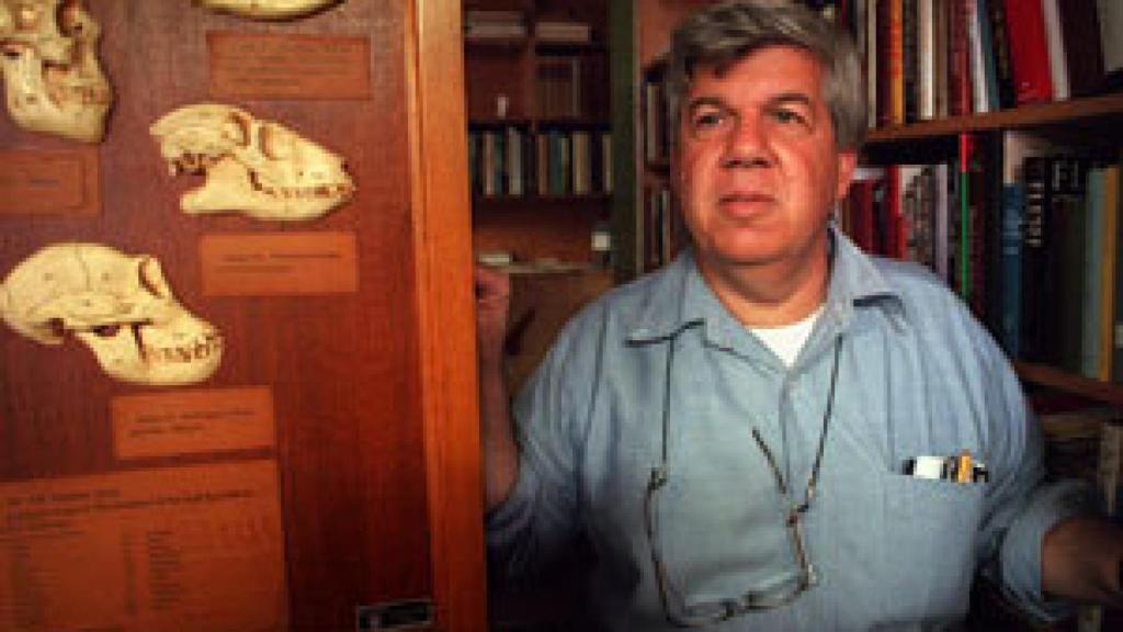 Image: Ontogenia y filogenia. La ley fundamental biogenética