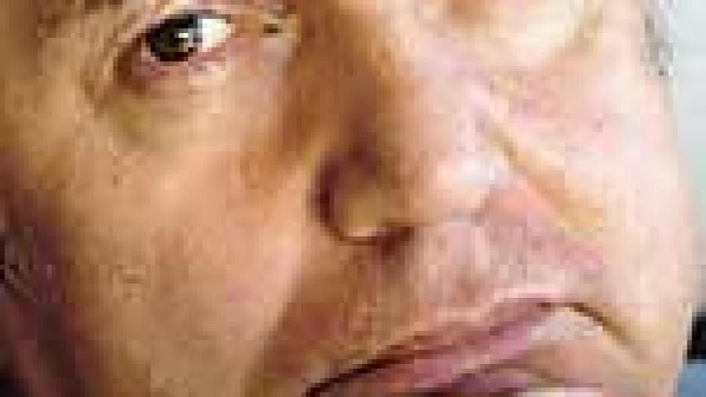 Image: Los perros de Riga