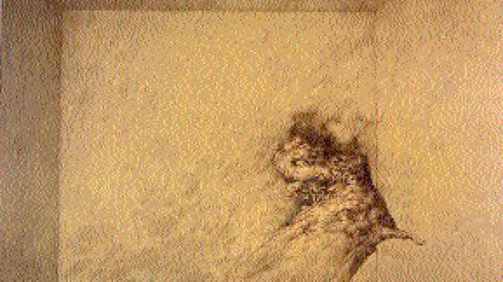 Image: Territorios últimos de José Hernández