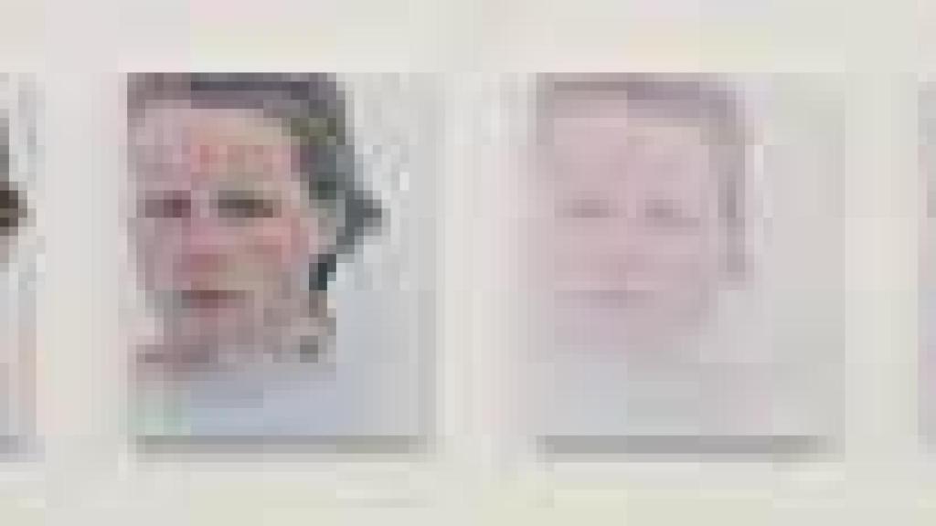 Image: Roni Horn, en torno a la identidad