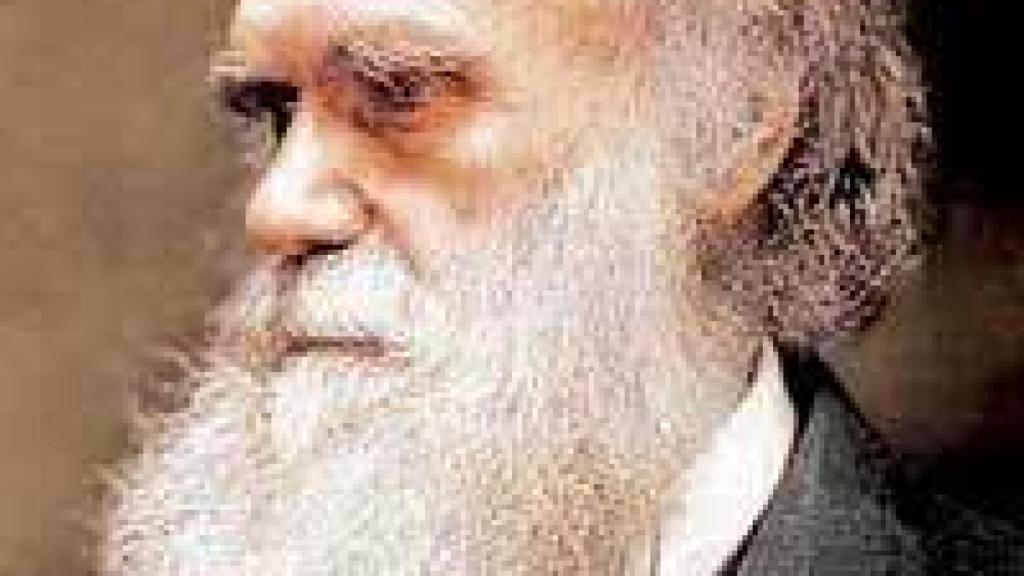 Image: Un castillo de espejos