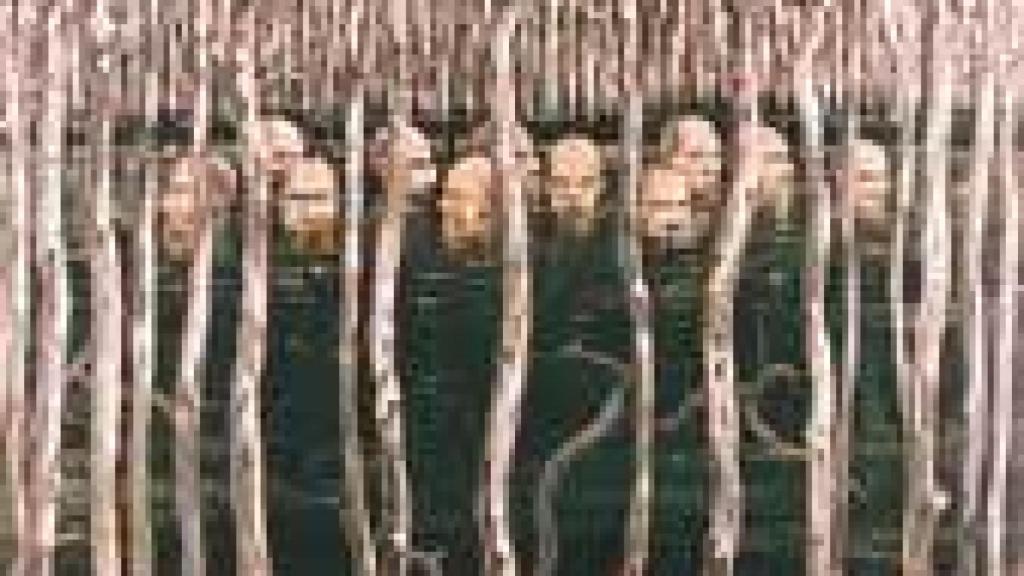 Image: El trópico fantástico de García Cordero