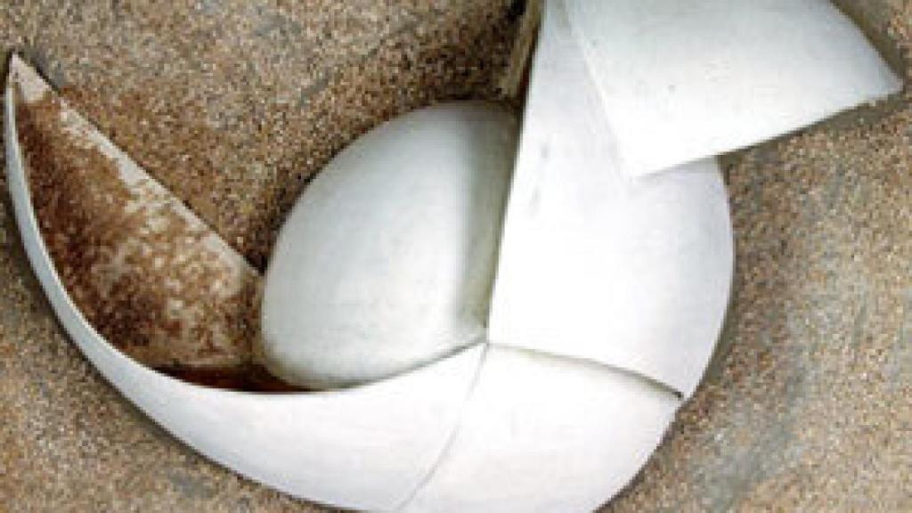 Image: Francesco Lo Savio, el visionario