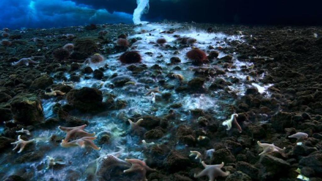 brazo-hielo-muerte-01