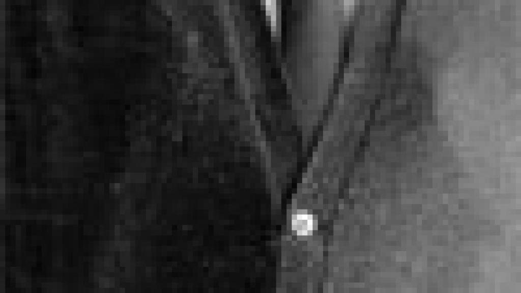 Image: Hans-Georg Gadamer