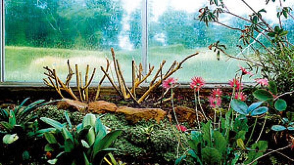 Image: Elena de la Rúa