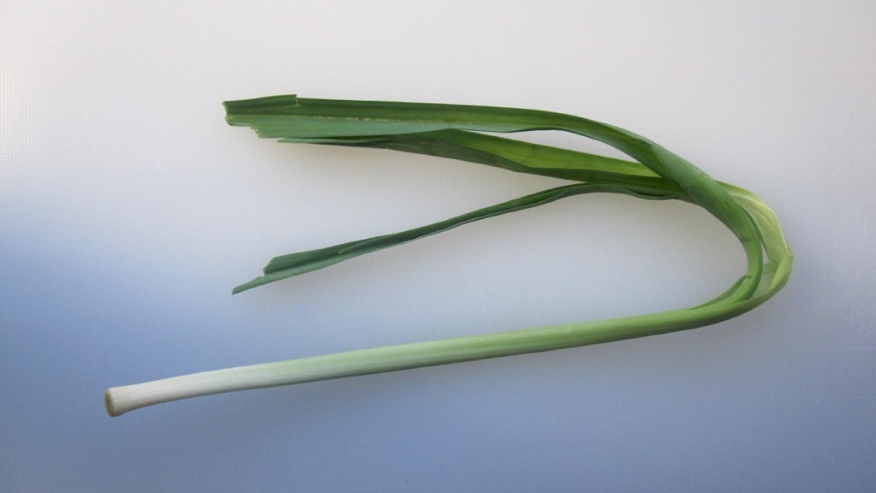 TOSTA DE BACALAO Y SALMÓN AHUMADOS CON BROTES DE PUERRO 1