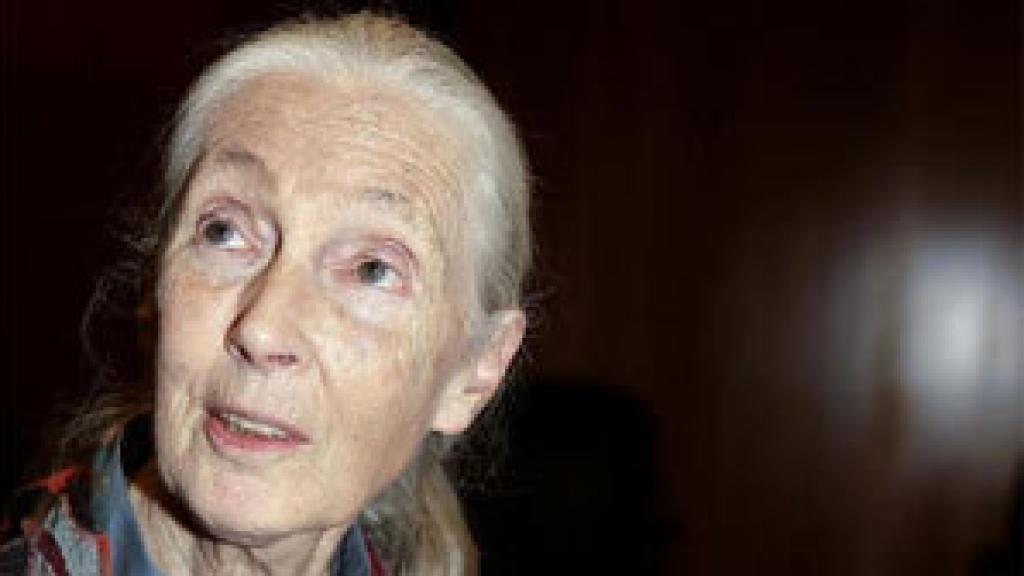 Image: Jane Goodall: El ecologismo vive tiempos terribles con la crisis económica