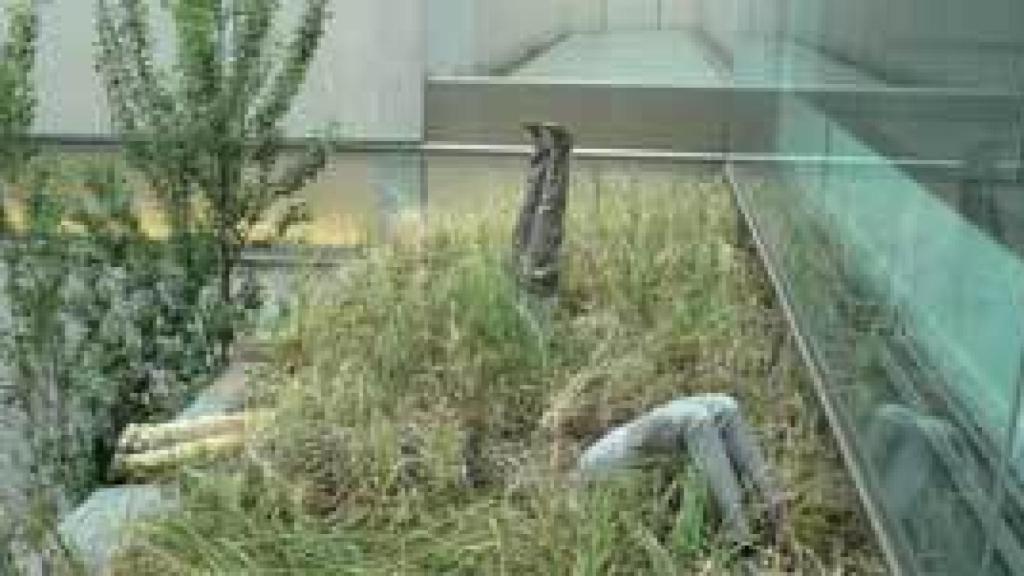 Image: Hacia otros modelos de bienal