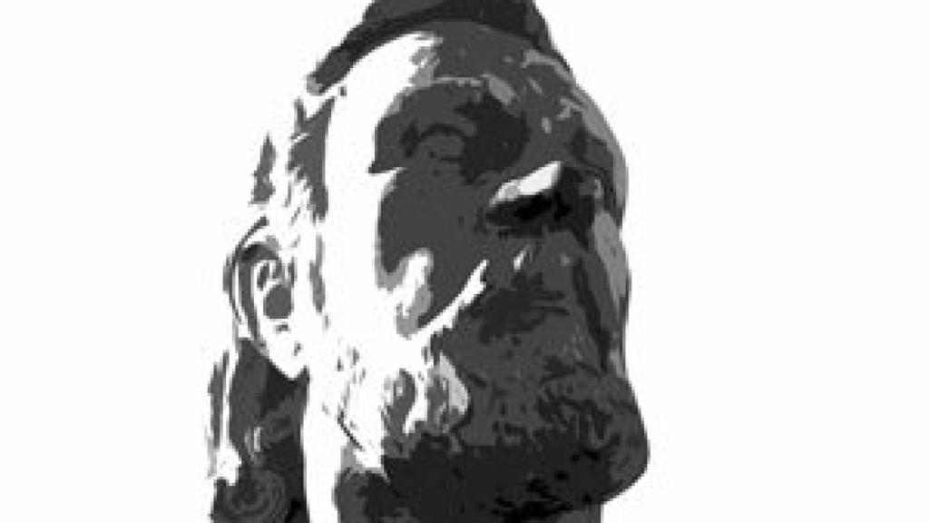 Image: La casa muerta