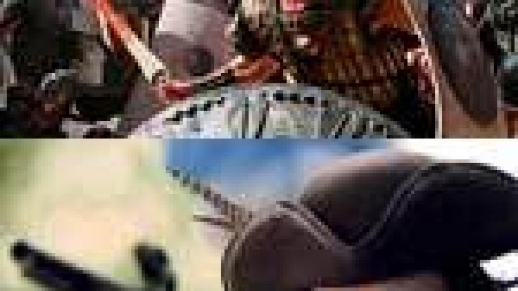 Image: Cine épico, la batalla continúa: Troya, Alexander, El reino de los cielos, Fanfan La Tulipe y Alexander The Great