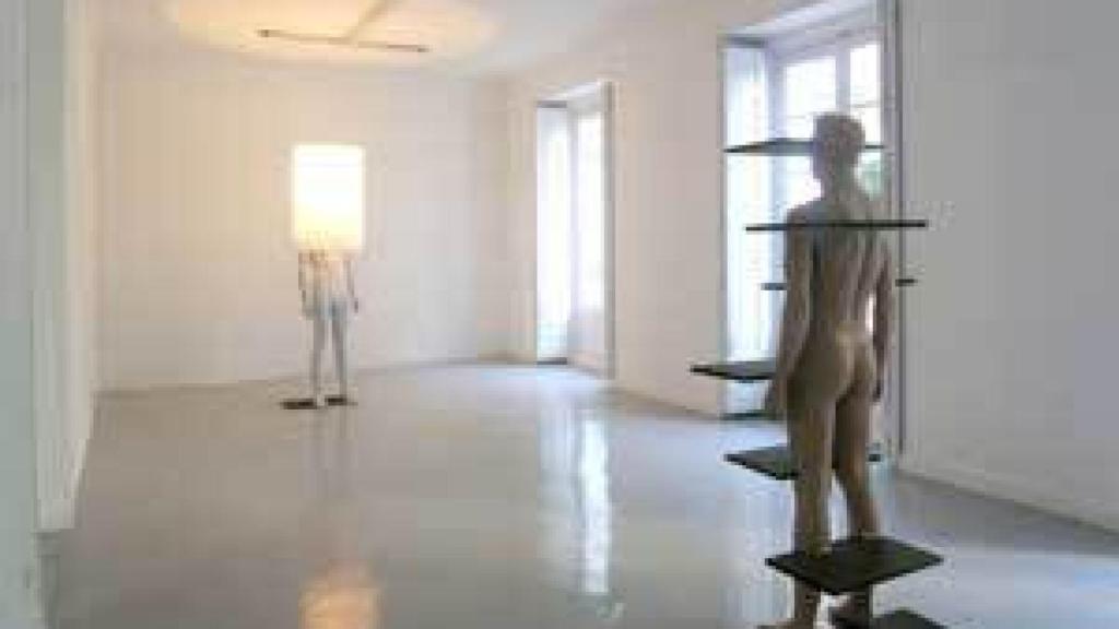 Image: Zobernig, racionalidad inquieta