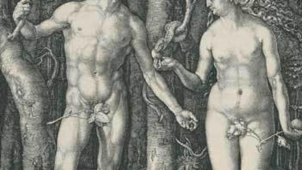 Image: Durero, maestro de la plancha