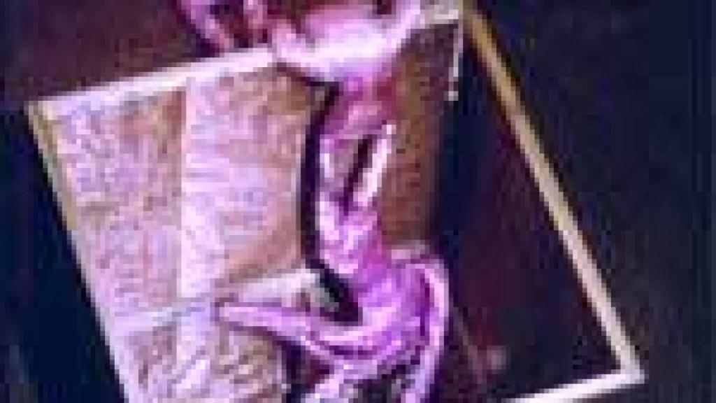 Image: Victoria Civera, magnética