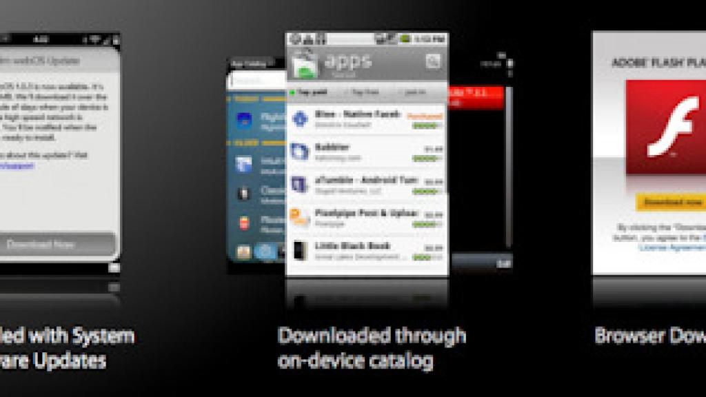 Detalles de la instalación de Flash 10.1