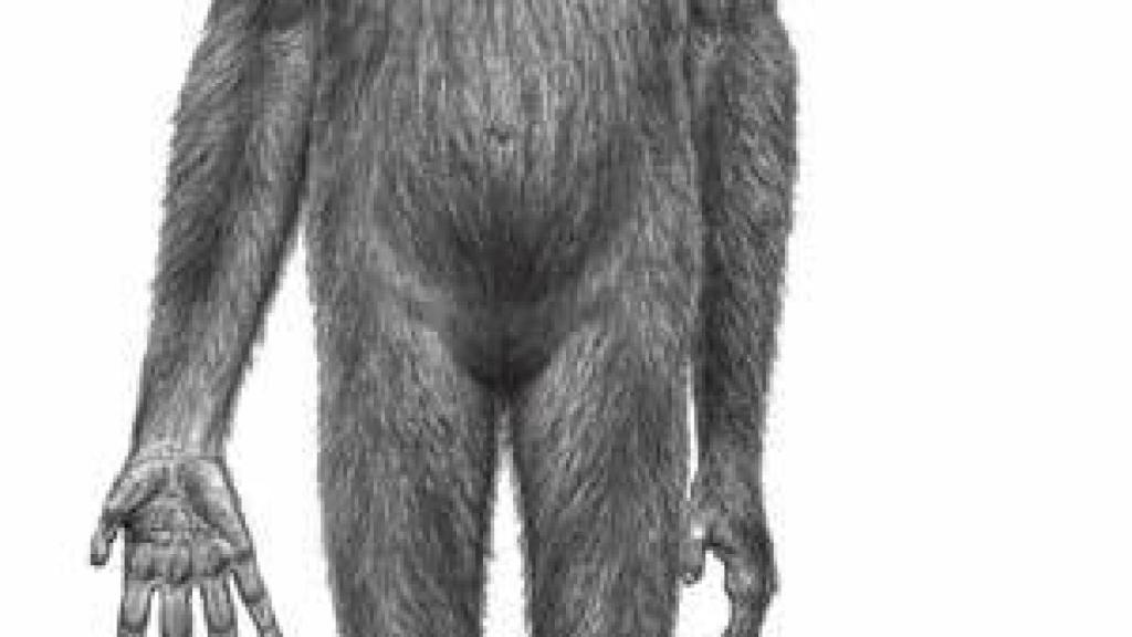 Image: 1. Ardi 2. Agua extraterrestre3. GTC