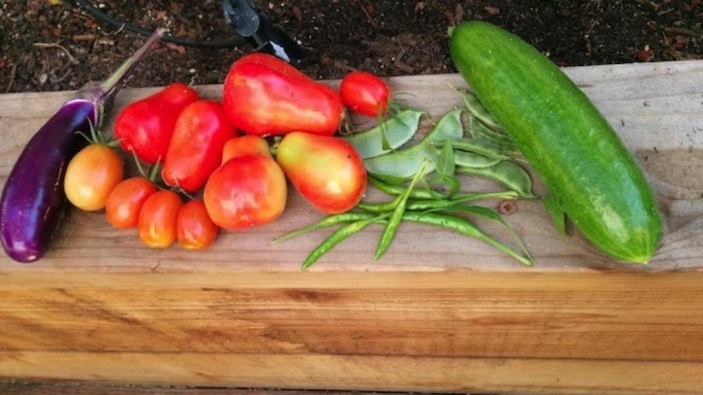 Las primeras fotos hechas con un Nexus 5 que vemos son estas