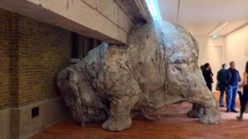 Image: De outsiders, contracultura y perros