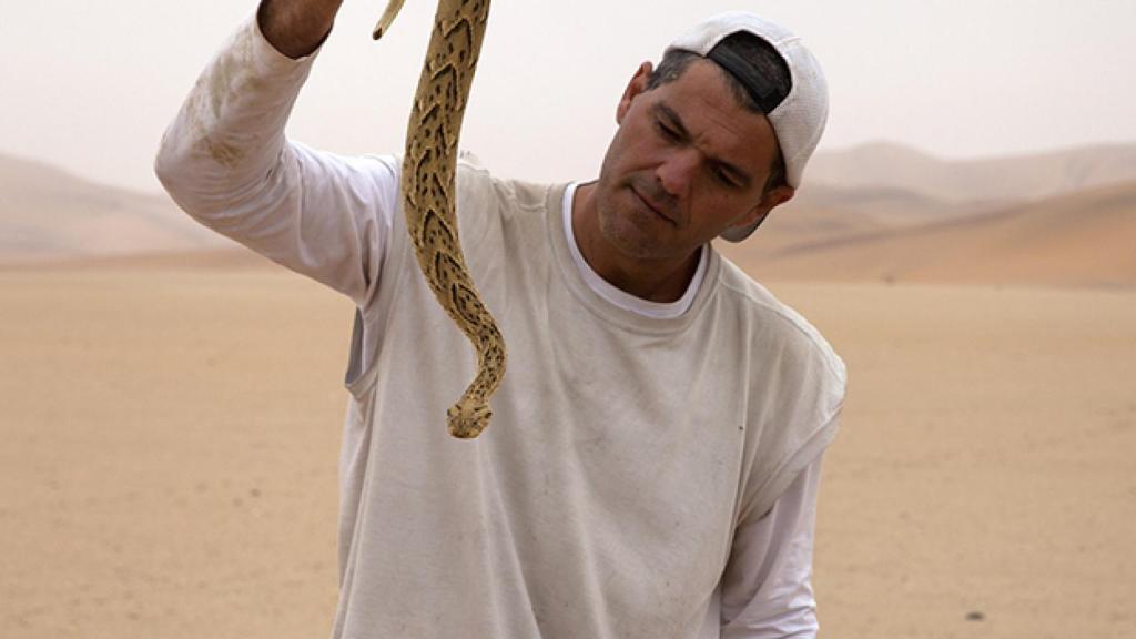 Discovery MAX celebra su tercer aniversario cerrando el mejor año de su historia
