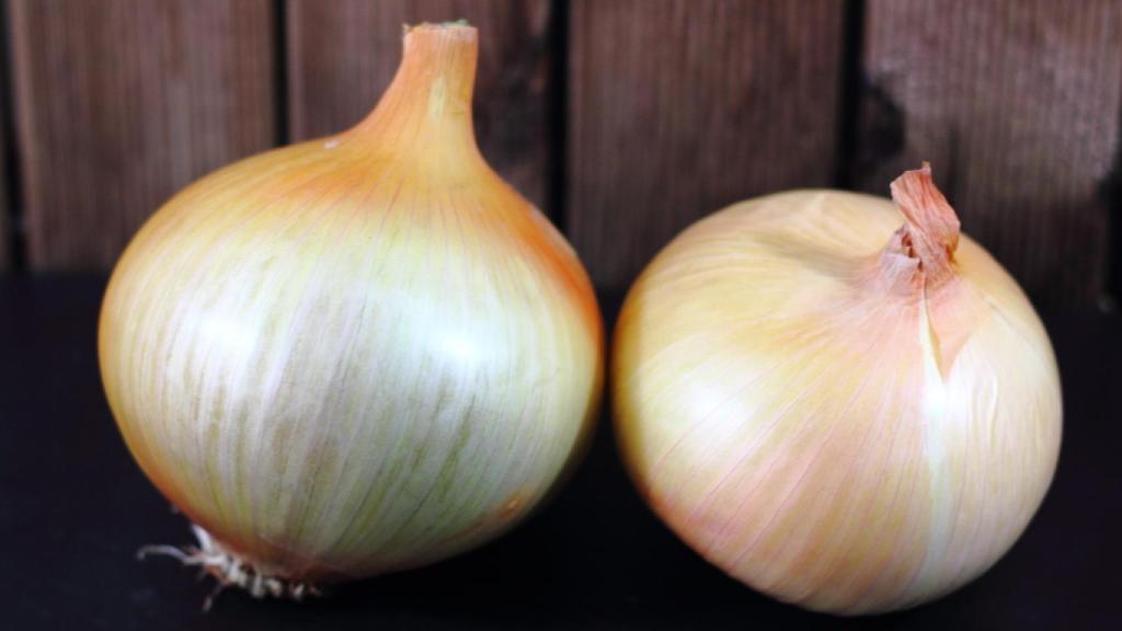 congelar-cebollas-00