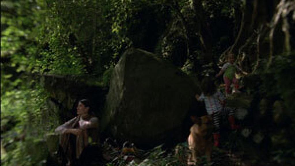 Image: Turbio, místico y genial Reygadas