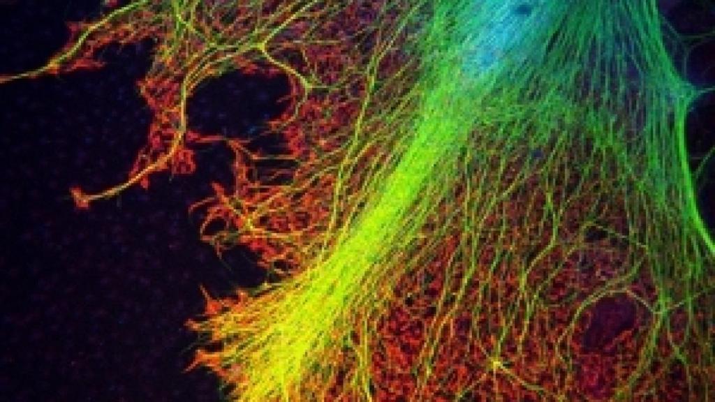 Image: El secreto de Prometeo