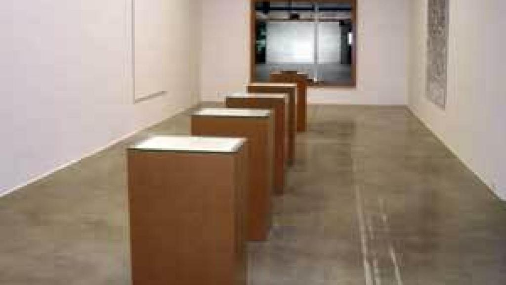 Image: Juan Carlos Bracho, lienzos de pared