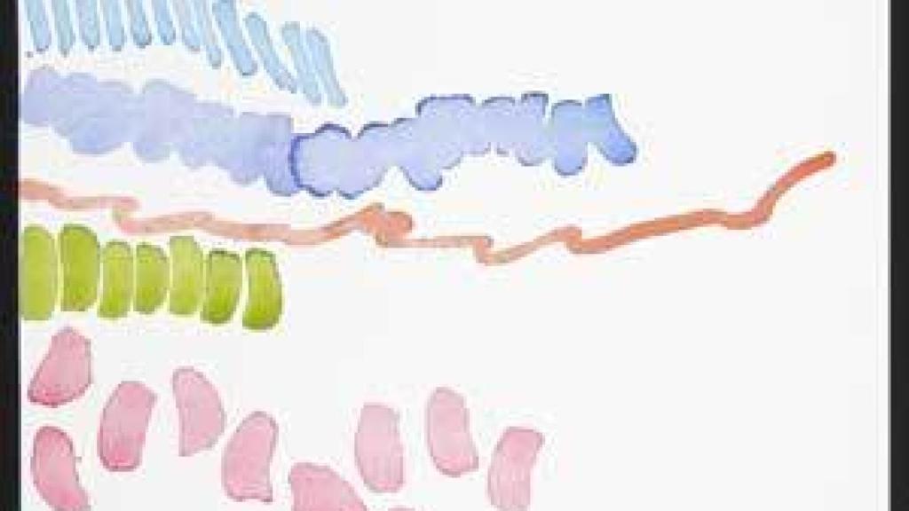 Image: Giorgio Griffa, la línea inecabada