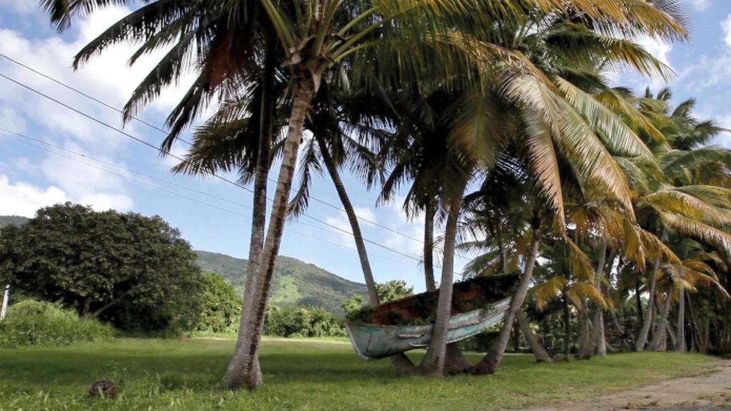 Imagen | Fotonoviembre, la fotografía como herramienta de reflexión