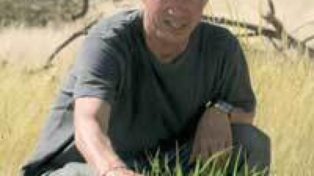 Image: Roland Emmerich