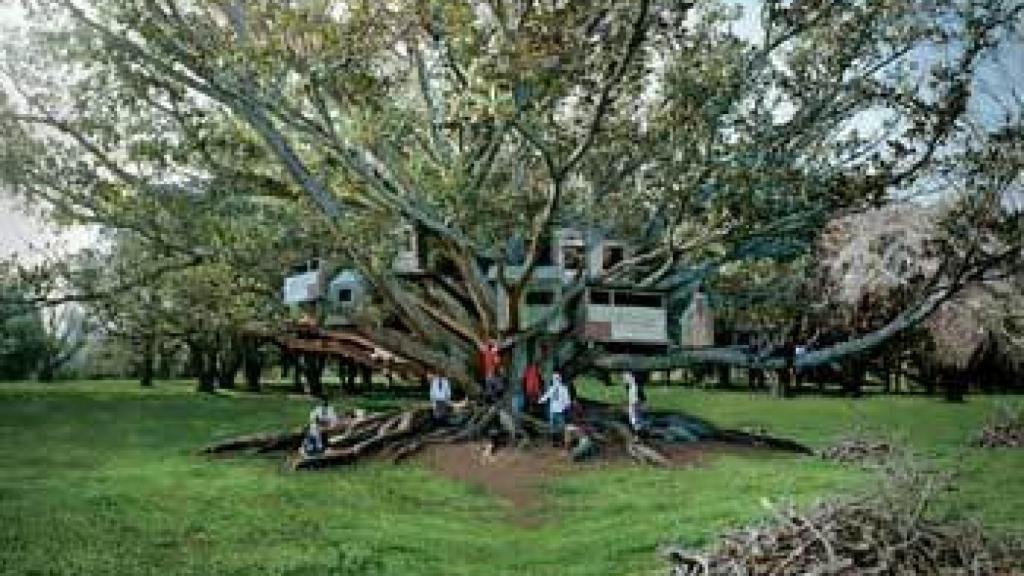 Image: Goicolea o la pérdida de la inocencia