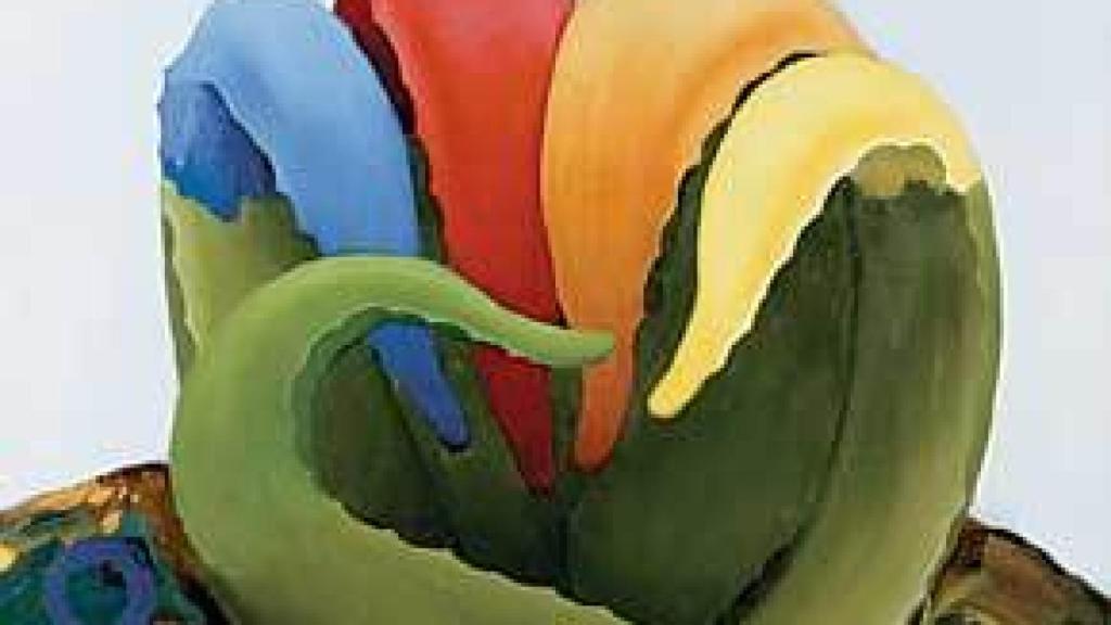 Image: Federico Guzmán