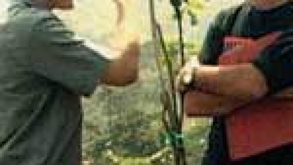 Image: Medem discursos y formas