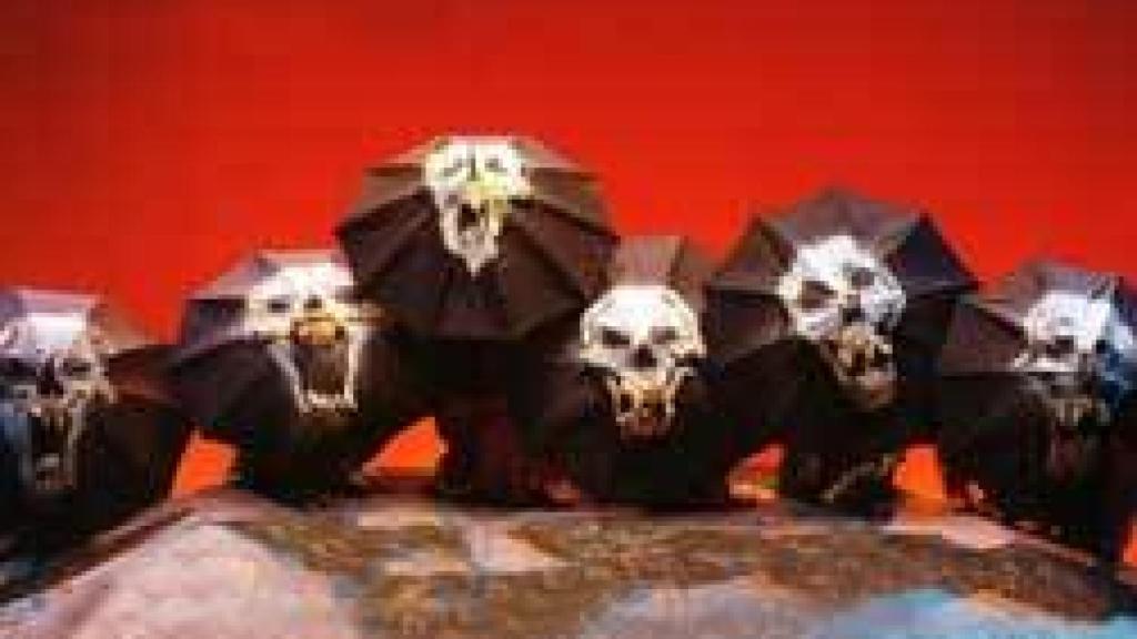 Image: Corsario  el botín de  los clásicos