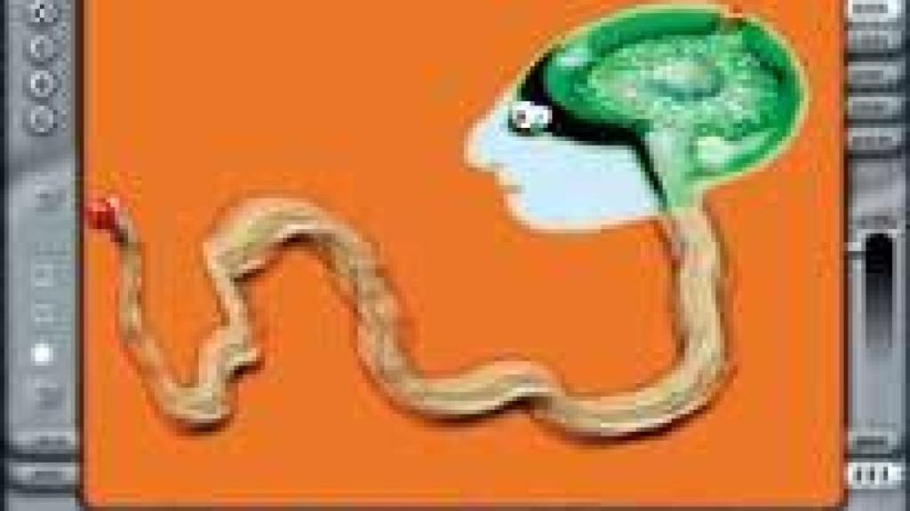 Image: Arte y tecnología en Mad 2001