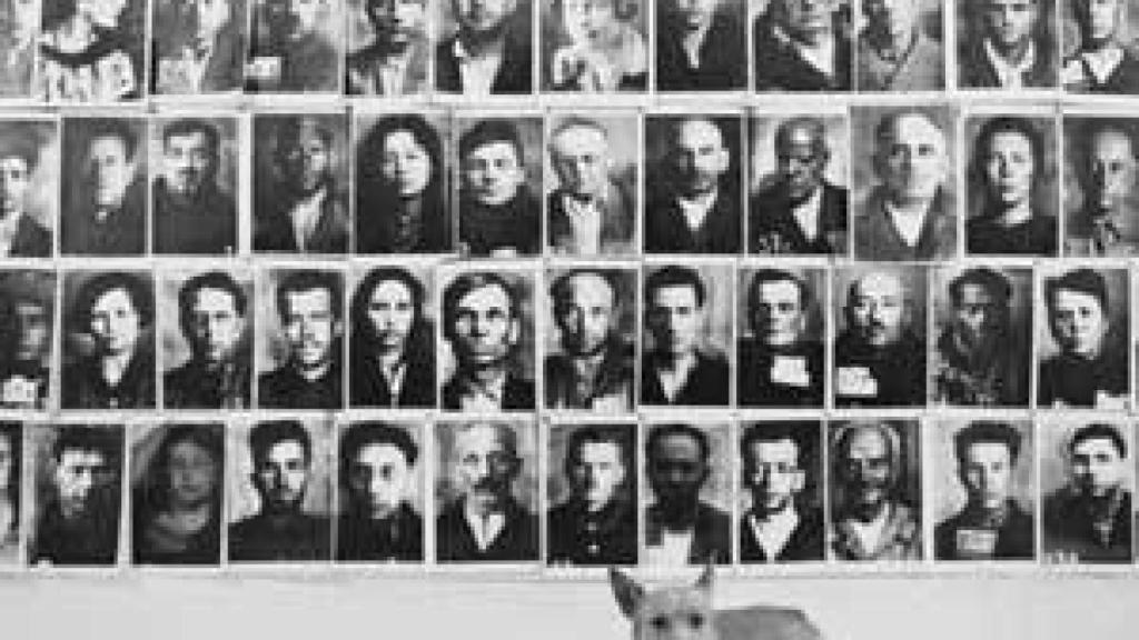 Image: Pablo Márquez