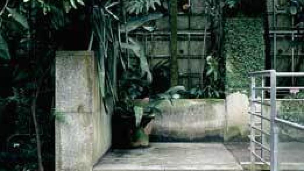 Image: Paula Anta, cápsulas vegetales