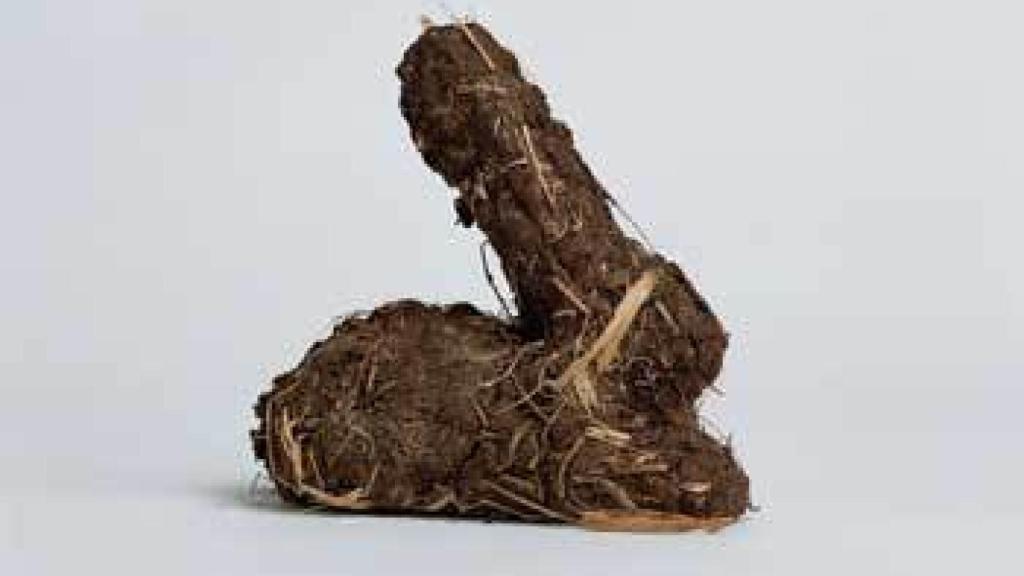 Image: La experiencia Fluxus