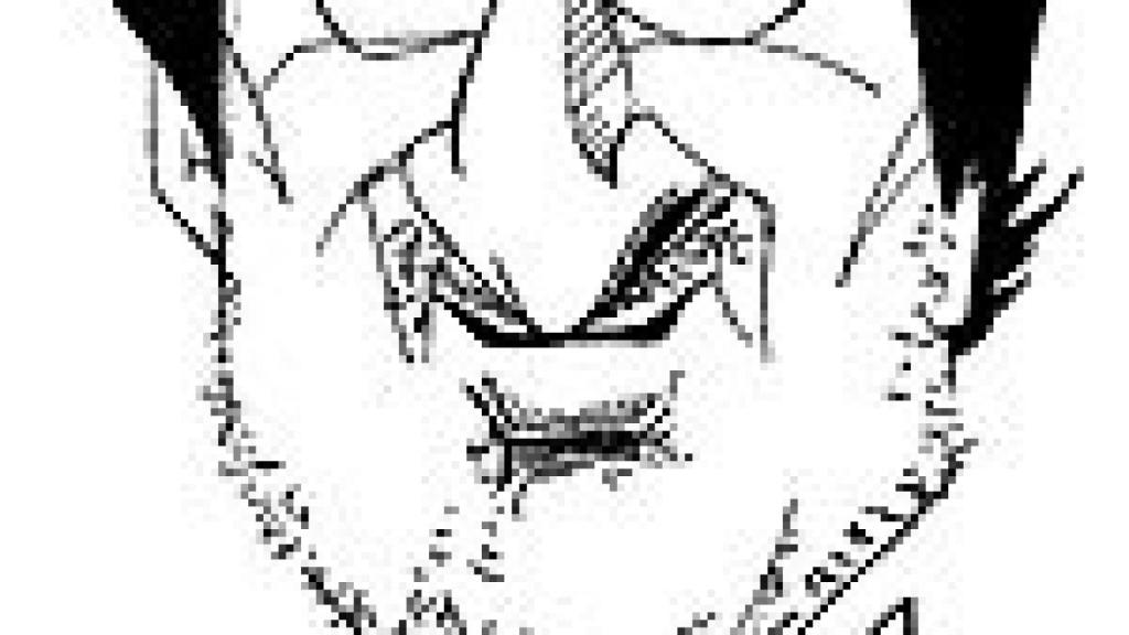 Image: Andrés Vicente Gómez