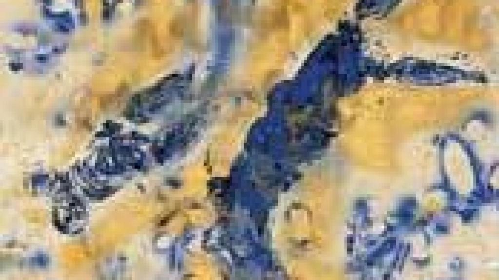 Image: Los mil tonos de azul de Yves Klein