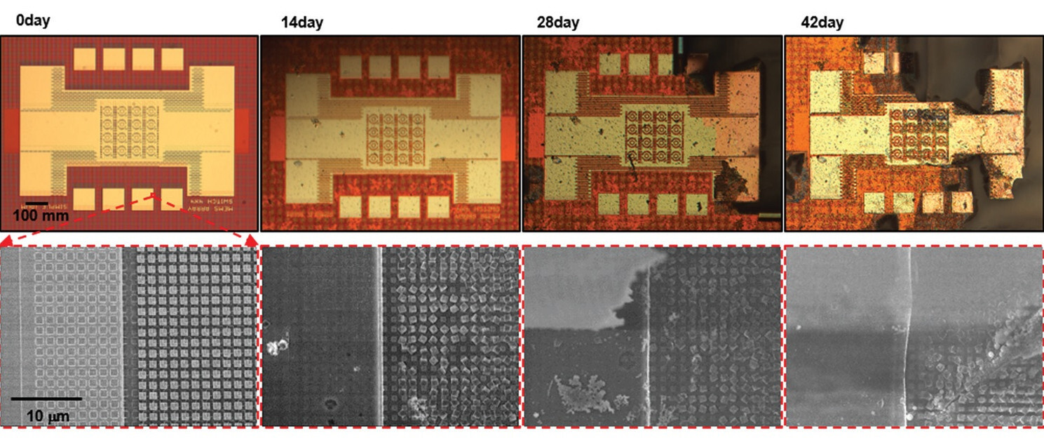 chips silicio agua 2