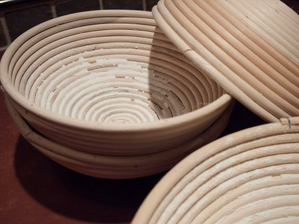 P2232799_zpsed31f7d8