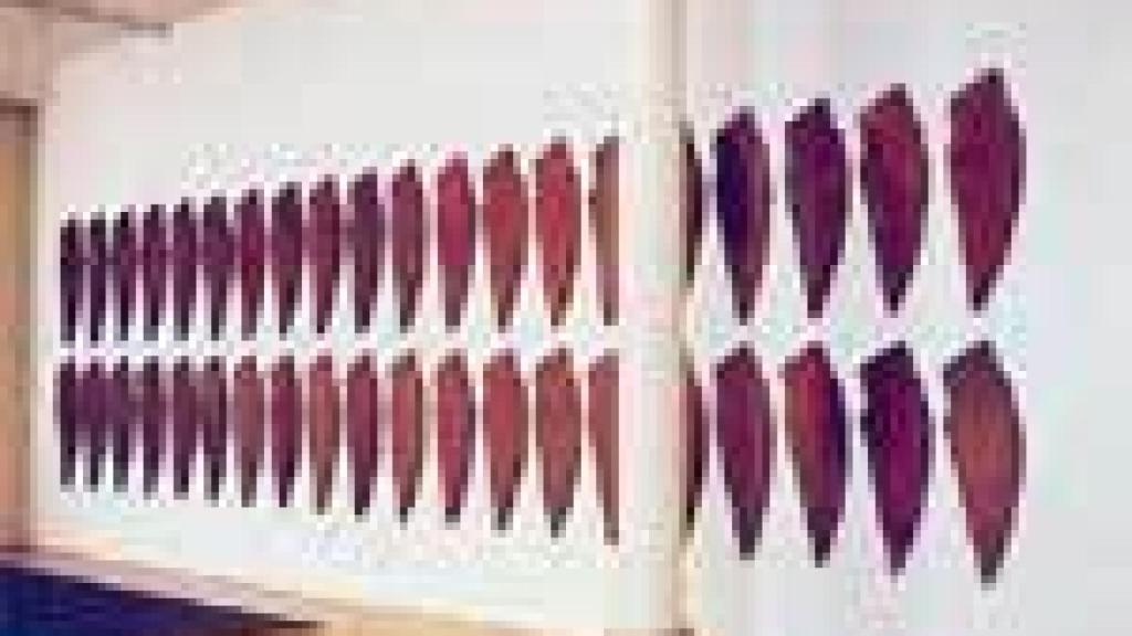 Image: Catherine Lee