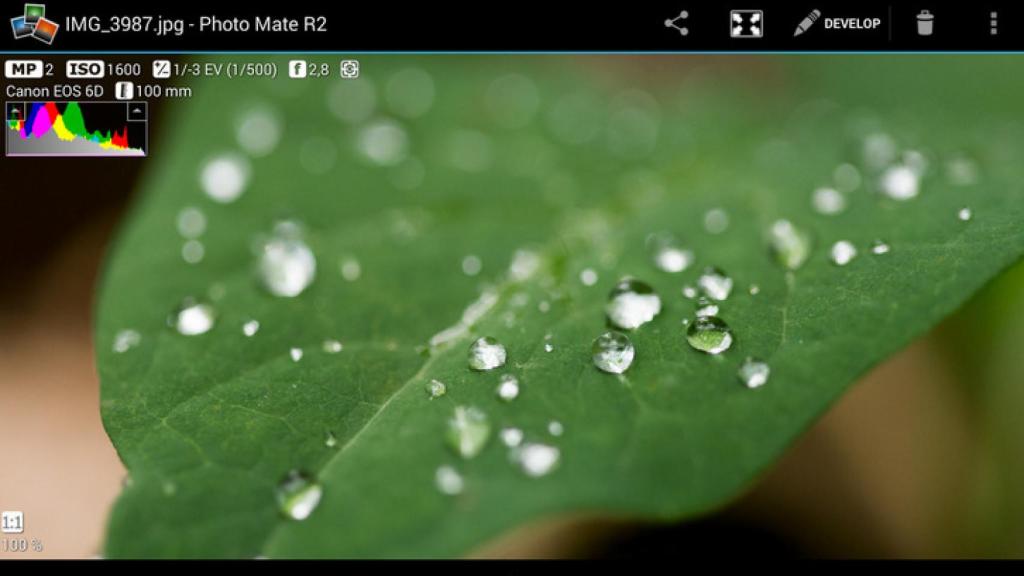 Photo Mate R2, un editor de fotografía Raw para Android