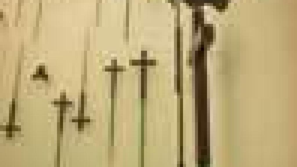 Image: Jan Fabre, orfebrería de escarabajos