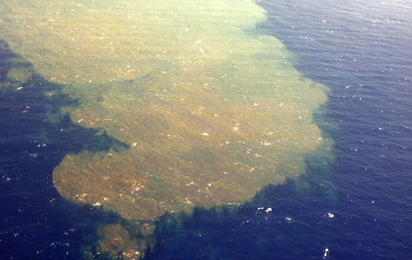 erupcion-el-hierro-02