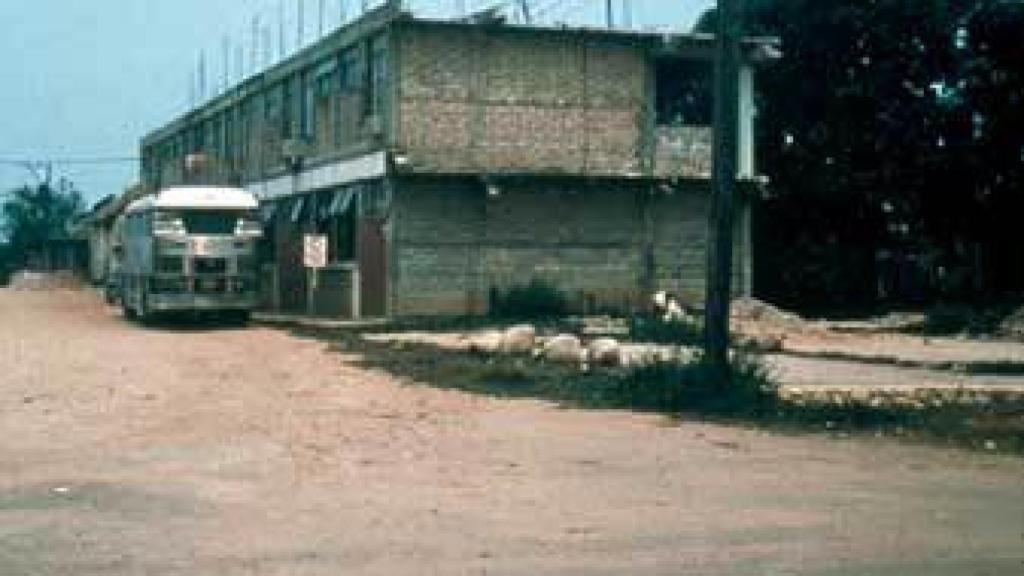 Image: Robert Smithson. Huésped de ninguna parte