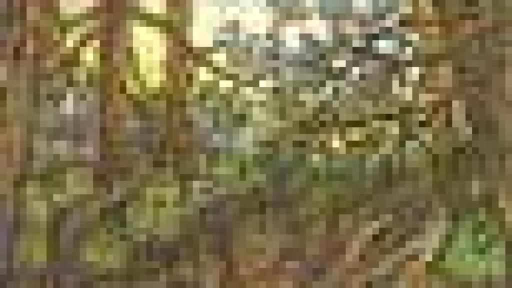 Image: Viaje al centro de la tierra