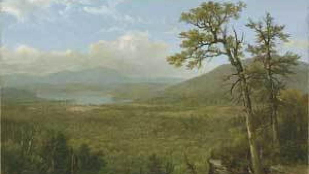 Image: Durand, tocando el bosque